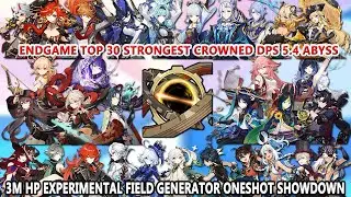 EndGame Top 30 Strongest Crowned DPS 5.4 Abyss - 3M HP Experimental Field Generator Oneshot Showdown