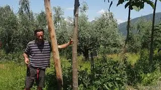 P1010338