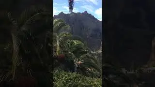 Masca unforgettable adventure, Tenerife