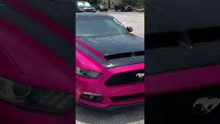 A Ford Mustang in Porsche Ruby Star Neo? #garageriot #cars #porsche #mustang #camaro