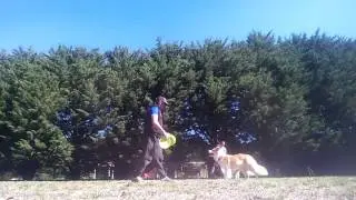 Reverse single foot vault