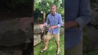 Fantasy Football Survivor Season 2, Prequel