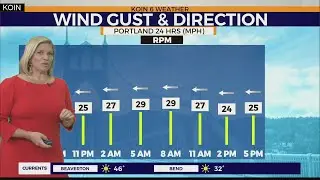 WEATHER FORECAST: Bitterly cold & windy tonight