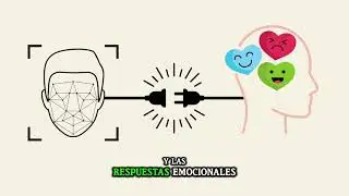 Cada fallo cerebral explicado