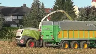 Class Jaguar 960  mit Orbis 750 10 reihig unterwegs im Mais in der Gegend von Hainersdorf  Ilz und d