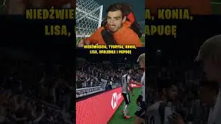 Nowe maskotki