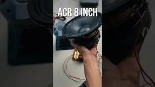 Test Speaker ACR Fabulous 8 Inch #speaker