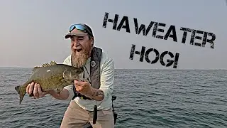 Huron Bass Tour - SCB Haweater Open