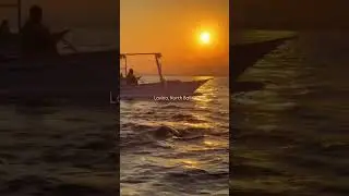Magical Lovina Sunrise with Dolphins. #balitravelguide #travelvlog  #dolphinwatching