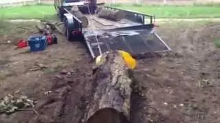 The Lewis chain saw winch in action! Skidding large black oak sections from the woods