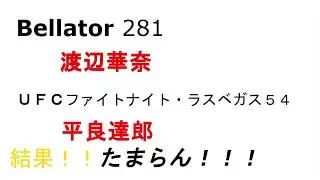 【Bellator 281】【UFC】渡辺華奈　平良達郎　結果！！しゃ～