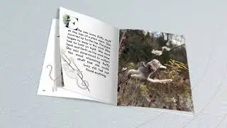 Foraging in the Forest