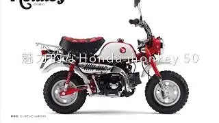 #4Honda Monkey 50の魅力。