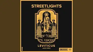 Leviticus 5