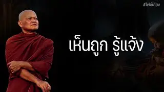 เห็นถูก รู้แจ้ง #หลวงพ่อมานพ