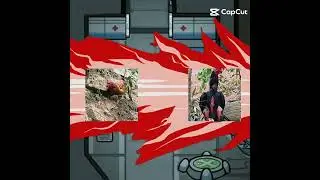 balofa edit