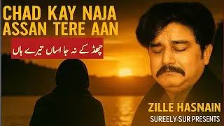 Chad Kay Na Ja Assan Tere Aan | Zille Hasnain | Heart Touching Saraiki Song 2025 | Sureely-Sur