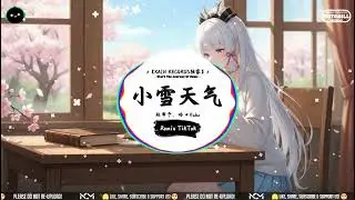 小雪天气 (抖音DJ版) - 赵希予、哈口Hako「雪花轻轻落下 思念在冬季结冰，漫步在月光下摇晃 此刻我又想起你。」♪ || 一听就上头的音乐 | 抖音热搜版 | 抖音 | TikTok ♪
