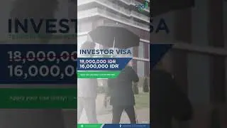 Investor Visa with Promo Price 16,000,000 IDR #Shorts