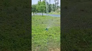 hose to hose connector water sprinkler and sprayer #shorts #homehacks #smartwork #water #garden
