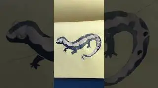The Salamander - 20 Minutes Painting Challenge