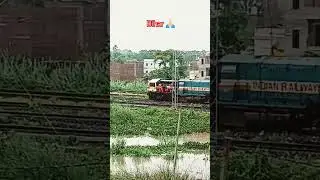 Bihar Badh 🙏🏻#corruption #rain #floods #bihar #barish #wgitachi #rainyday #badh #song #bhojpurisong