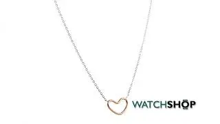 Skagen Jewellery Ladies' Two-Tone Steel and Rose Plate Katrine Necklace (SKJ1058998)