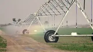 Green Pakistan Initiative project is running in the Cholistan desert near Bahawalpure