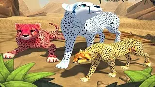 Cheetah Family Sim Android Gameplay #6