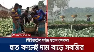 মাঠ থেকে হাটে উঠলেই বদলে যায় সবজির দাম; ক্ষতির মুখে চাষিরা। Chuadanga | Jamuna TV