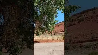 An old cabin down Red canyon road with some horses in the pasture