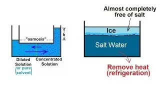 Chemistry - Solutions (53 of 53) Colligative Properties- Osmosis and Freezing