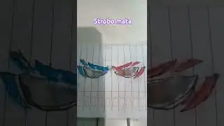 Bikin strobo mata