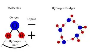 Physics Phenomena: Soap Bubbles