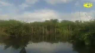III MANGUEAR na Costa Norte