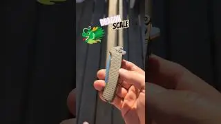 DRAGON SCALE 🐲 MALIBU BRONZE W/ hand ground compound grind blade