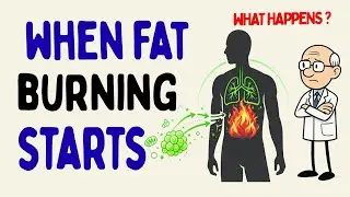 What Happens to Your Body When You Start Burning Fat — The Real Timeline