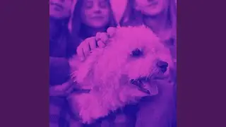 Lonely Music for Doggy Luxury