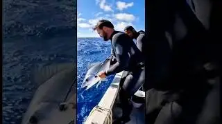 Безумная рыбалка в прямом эфире &mdash; ловля гигантских рыб в море в режиме реального времени #рыбалка...