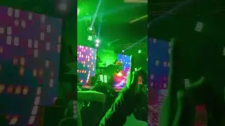 BARELY ALIVE -BASS GT 2024