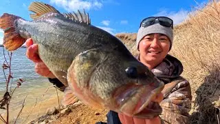 Big Largemouth Bass at Boundary Dam Reservoir Saskatchewan Canada