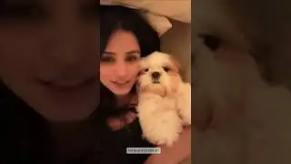 chetna pande loves dog so much ❤️ #chetnapande #travel #love #nishankswami #dog
