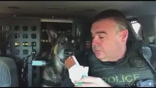 Retiring police K9 gets heartwarming sendoff