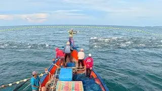 purse seine, this is how fishermen catch fish in the sea
