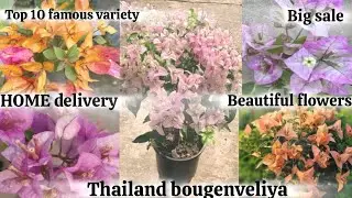 Top10 variety 🆔 name plant har EK wholesale price beautiful flowers plants All india home delivery