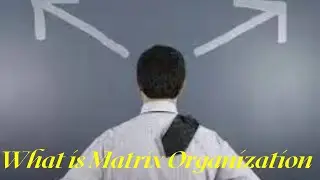 What is Matrix Organization