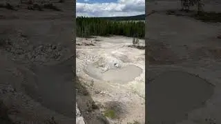 Whispers of Wilderness: Refreshing Memories from Yellowstone National Park #YellowstoneMagic