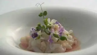 Quay Restaurant - Peter Gilmore's Squid