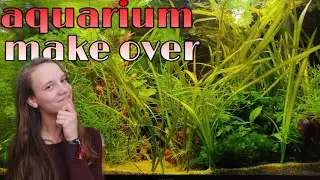 Aquarium verwaarloosd?! GROOT Aquarium onderhoud //Nickey//