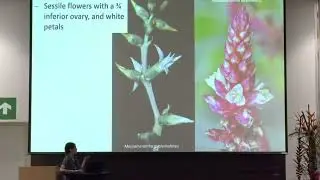 MONOCOTSvii: Katya Romero Soler Talk